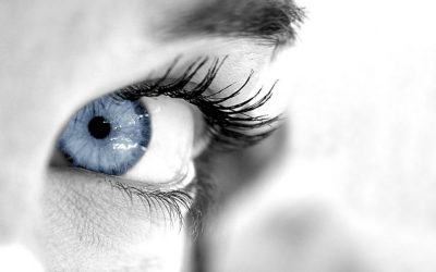El Mes de la Estética de la Mirada